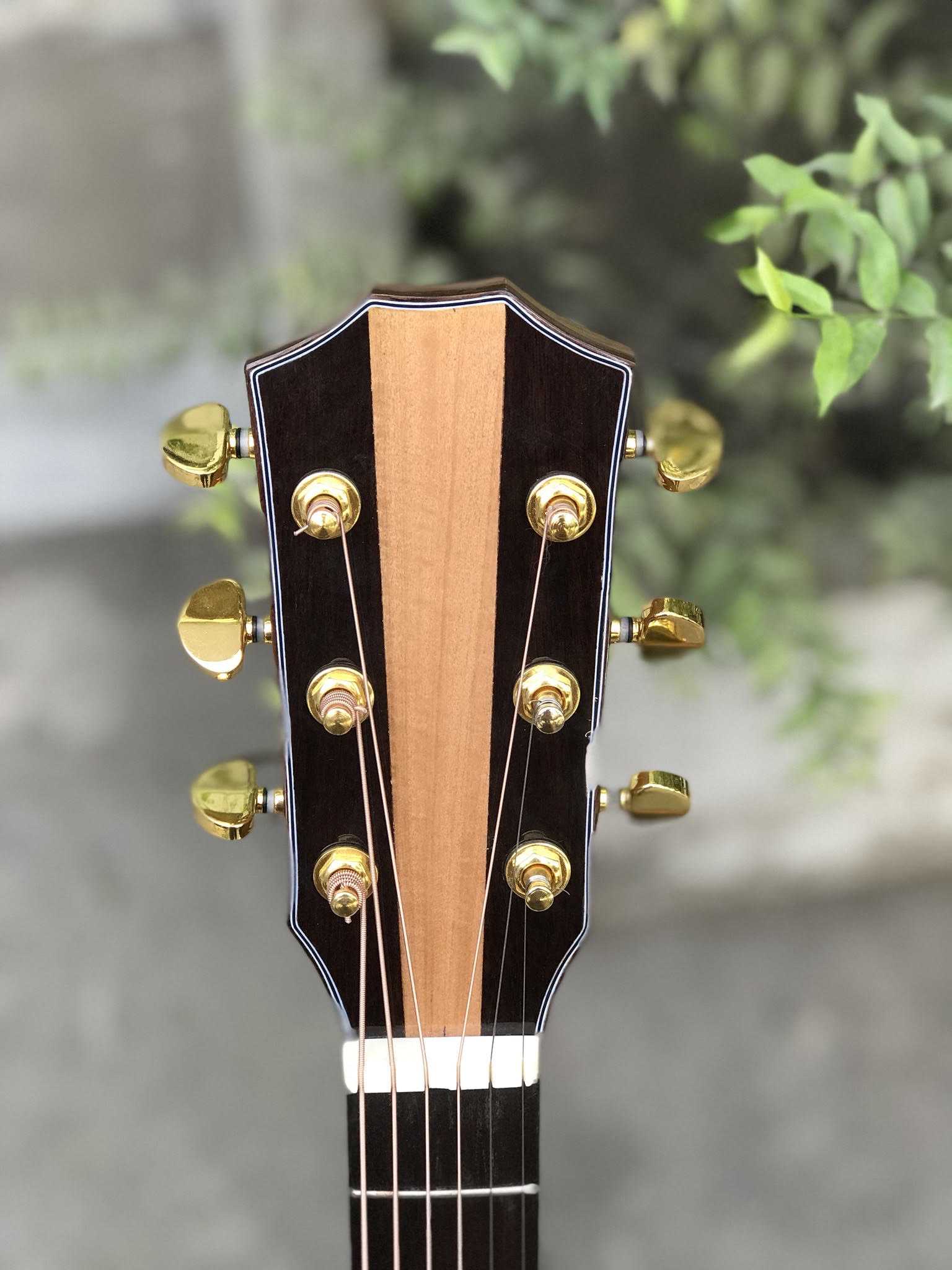 GUITAR ACOUSTIC GỖ MAPLE CƯỜM DÁNG A KHUYẾT