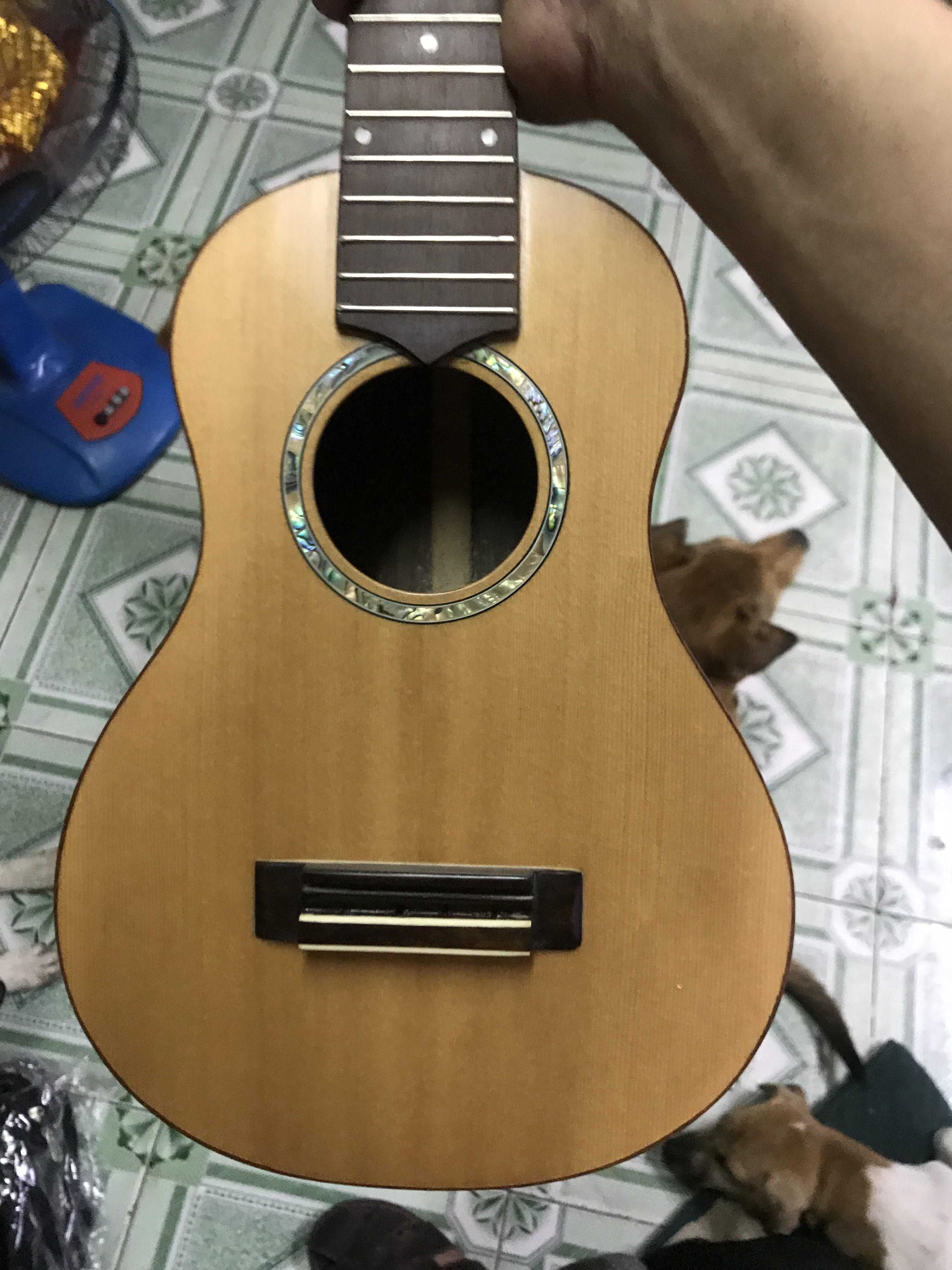 UKULELE GỖ CẨM ẤN