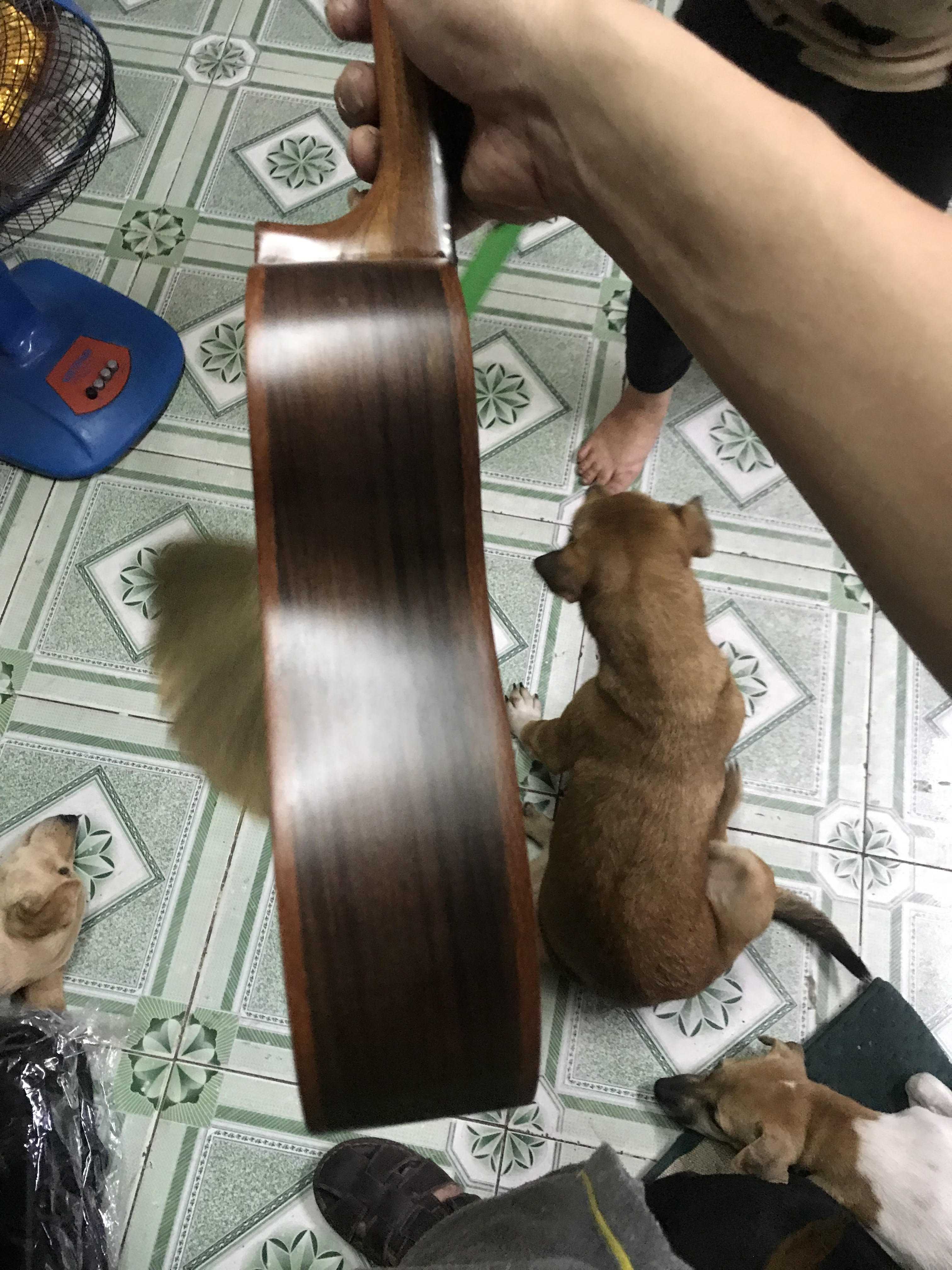 UKULELE GỖ CẨM ẤN